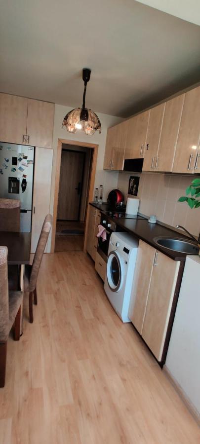 Lucky Home Timisoara 1 Екстер'єр фото